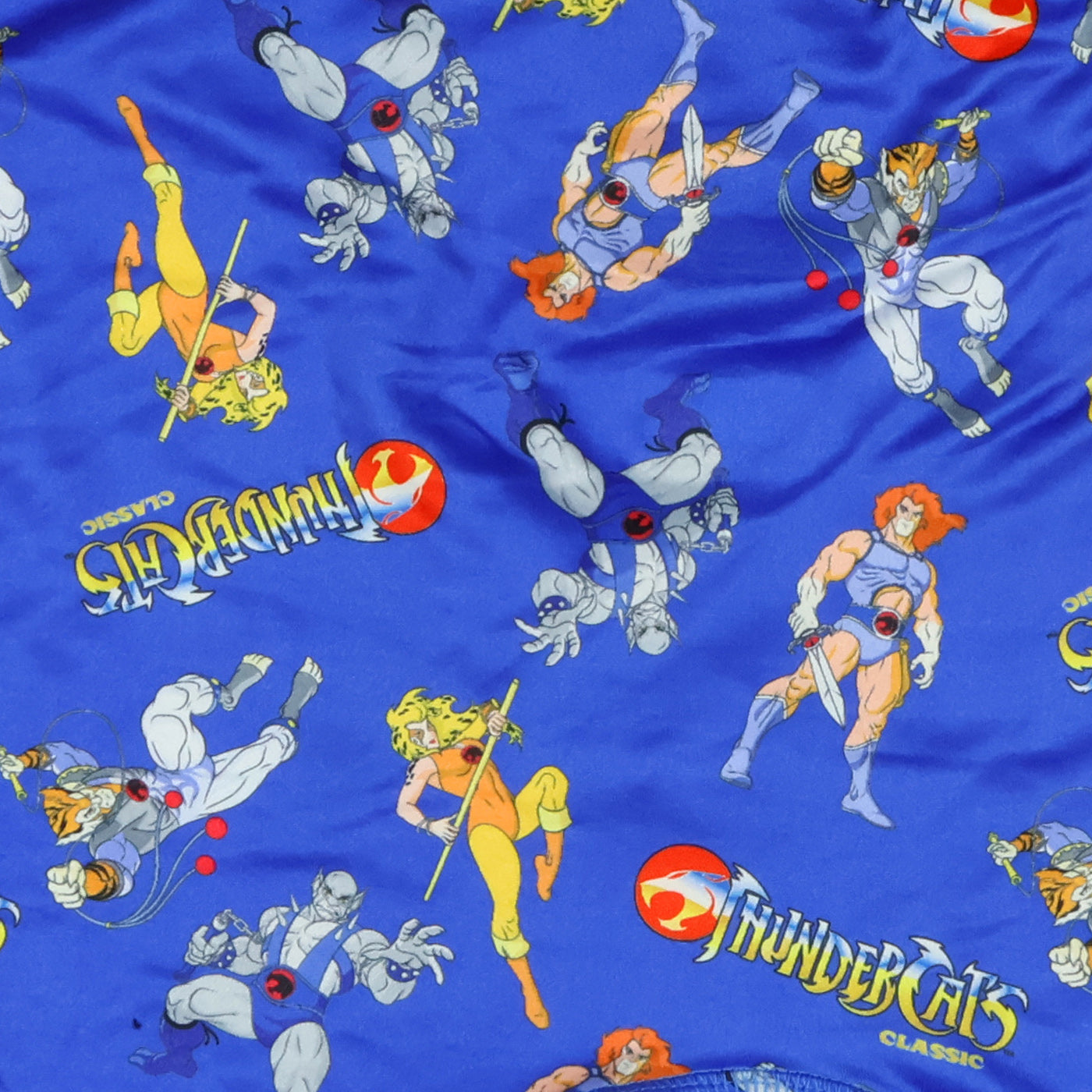 Thundercats Men's Boxer Briefs Classic Lion-O Cheetara Tygra Underwear