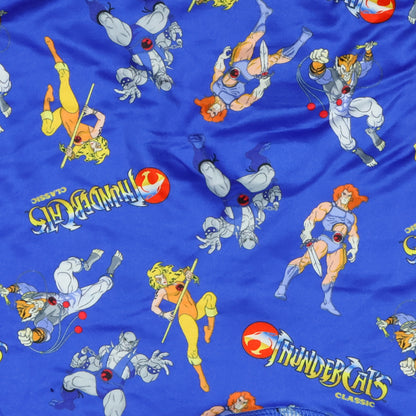Thundercats Men's Boxer Briefs Classic Lion-O Cheetara Tygra Underwear