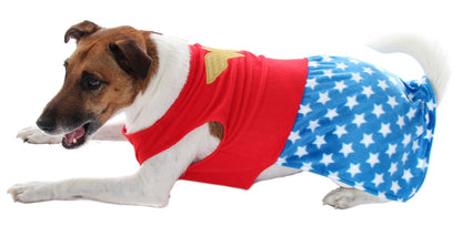 DC Comics Wonder Woman Superhero Halloween Pet Costume For Dogs Or Cats (Large)
