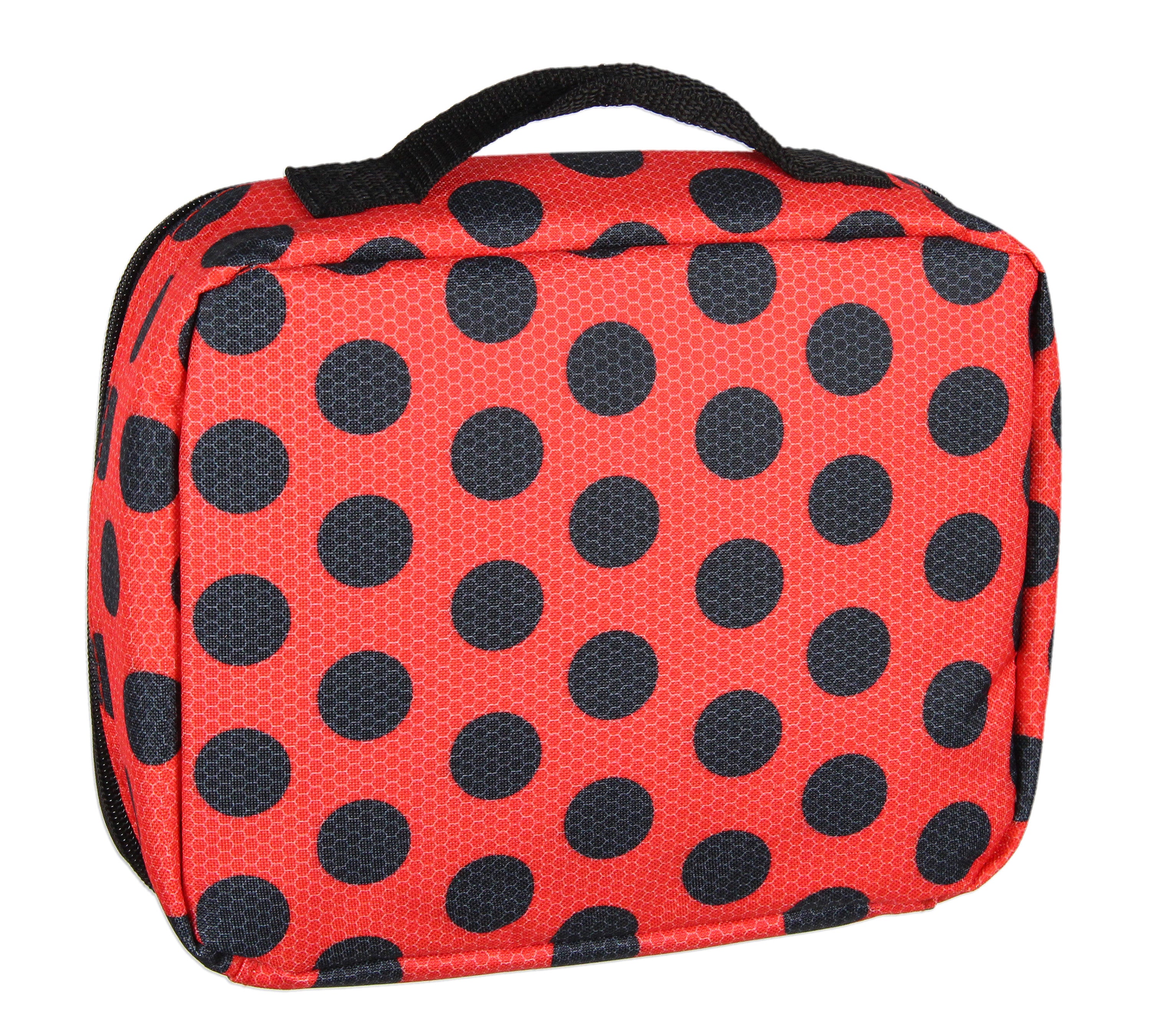 Miraculous Tales of Ladybug & Cat Noir 5 PC Backpack Icepack Water Bottle 16"
