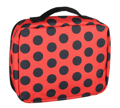 Miraculous Tales of Ladybug & Cat Noir 5 PC Backpack Icepack Water Bottle 16"
