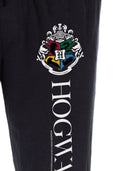 Harry Potter Adult Mens' Animal Silo Hogwarts Crest Loungewear Pajama Pants