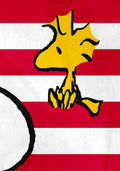 Peanuts Joe Cool Snoopy Woodstock Flag Plush Fleece Throw Blanket Wall Scroll