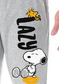 Peanuts Adult Snoopy and Woodstock Lazy Days Character Loungewear Sleep Pajama Pants