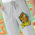 Scooby Doo Men's Shaggy And Scooby-Doo Zoinks! Loungewear Sleep Bottoms Pajama Pants